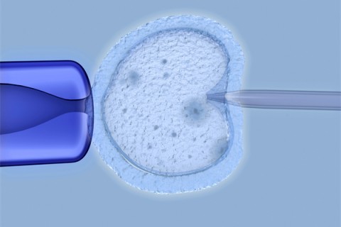 http://haoboiler.com/post/205.html|供卵助孕
