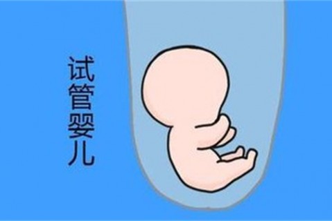 http://haoboiler.com/post/212.html|新闻中心