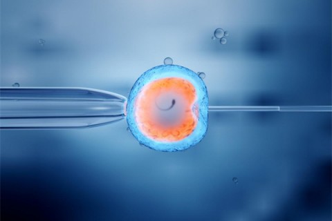 http://haoboiler.com/post/202.html|人工试管