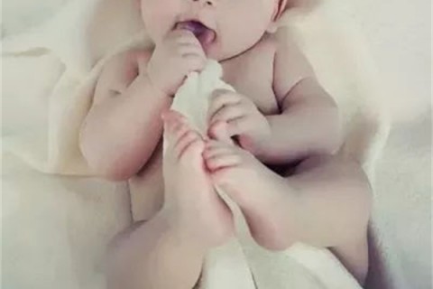 http://haoboiler.com/post/190.html|人工试管