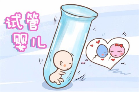 http://haoboiler.com/post/219.html|助孕案例